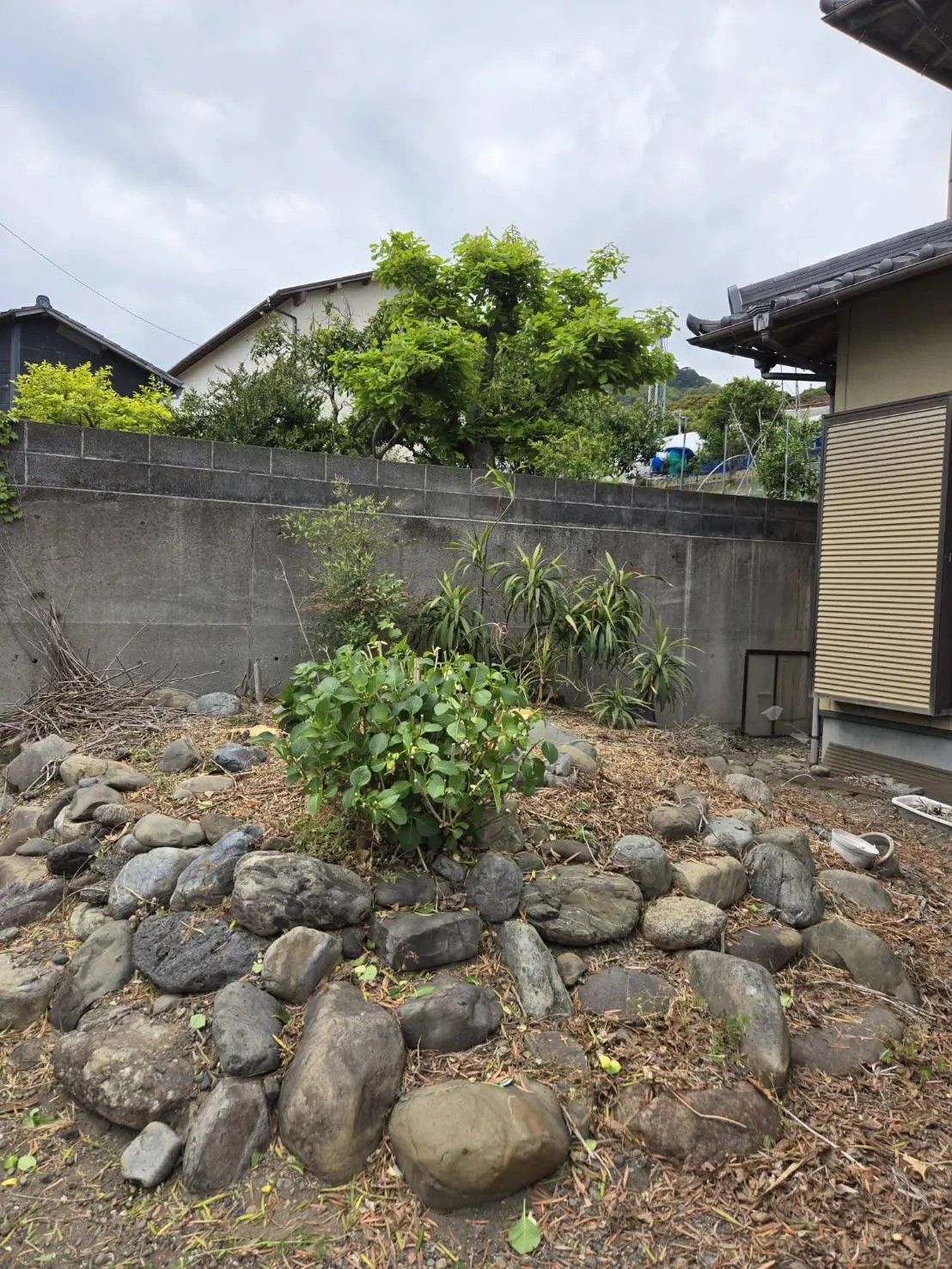 【奈良市】倒木の危険がある高木を安全に伐採！高所作業車が入らない場所の施工実績 - After
