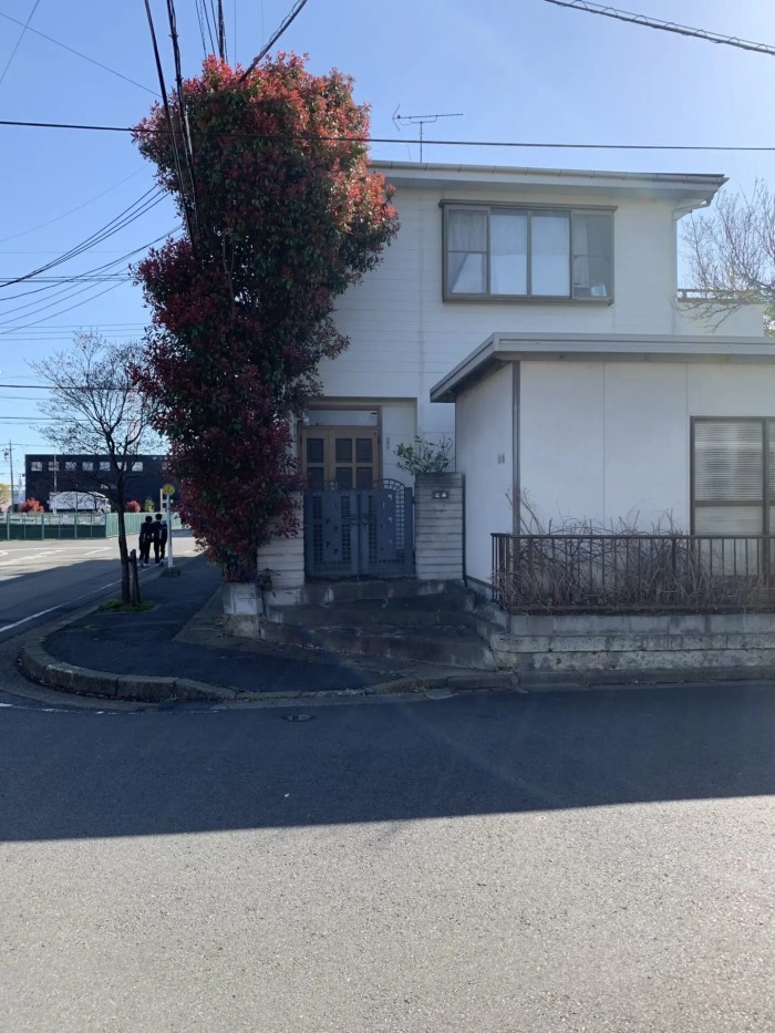 木津川市で電線にかかったカナメモチを安全に伐採｜家のすぐ横でも安心の特殊伐採事例 - Before