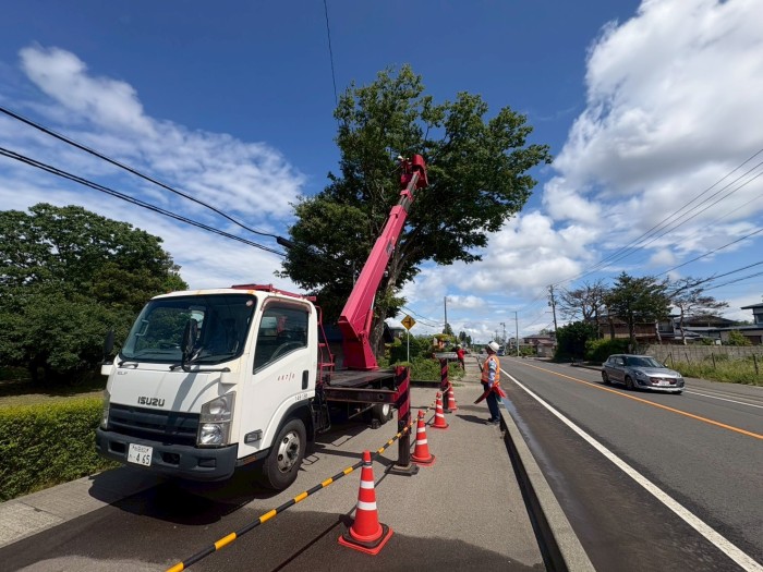 木津川市で特殊伐採｜歩道と電線に迫った高さ約10mの大木を高所作業車で安全に伐採 - Before