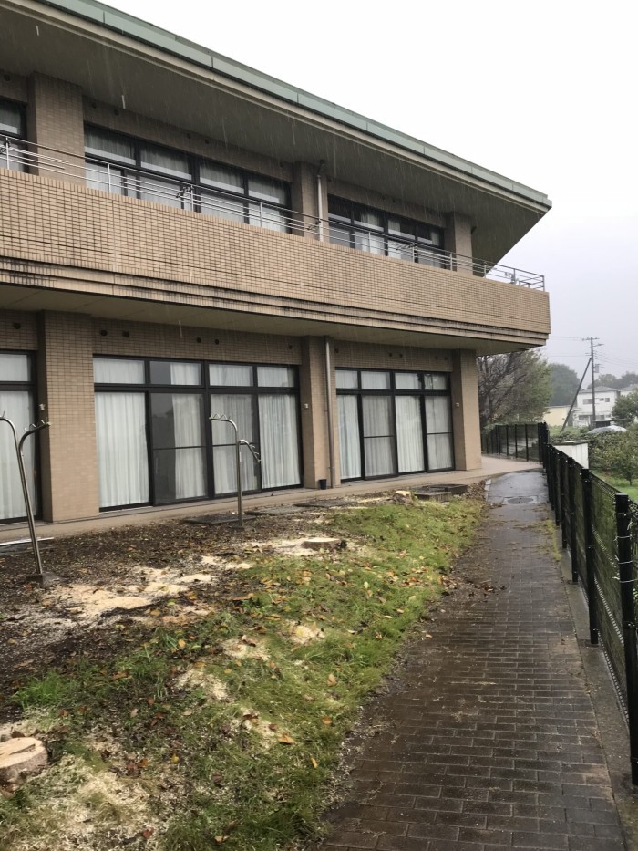 木津川市で高さ約8mの木を2本伐採｜建物近くの庭木を分割して撤去｜特殊伐採 奈良・京都南部 - After