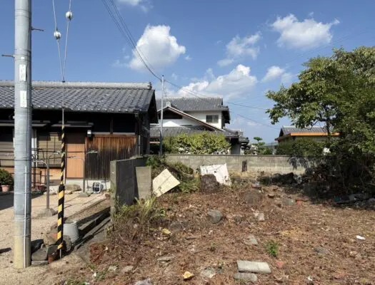 木津川市で電線近くの松を伐採｜高さ10mの特殊伐採事例 - After