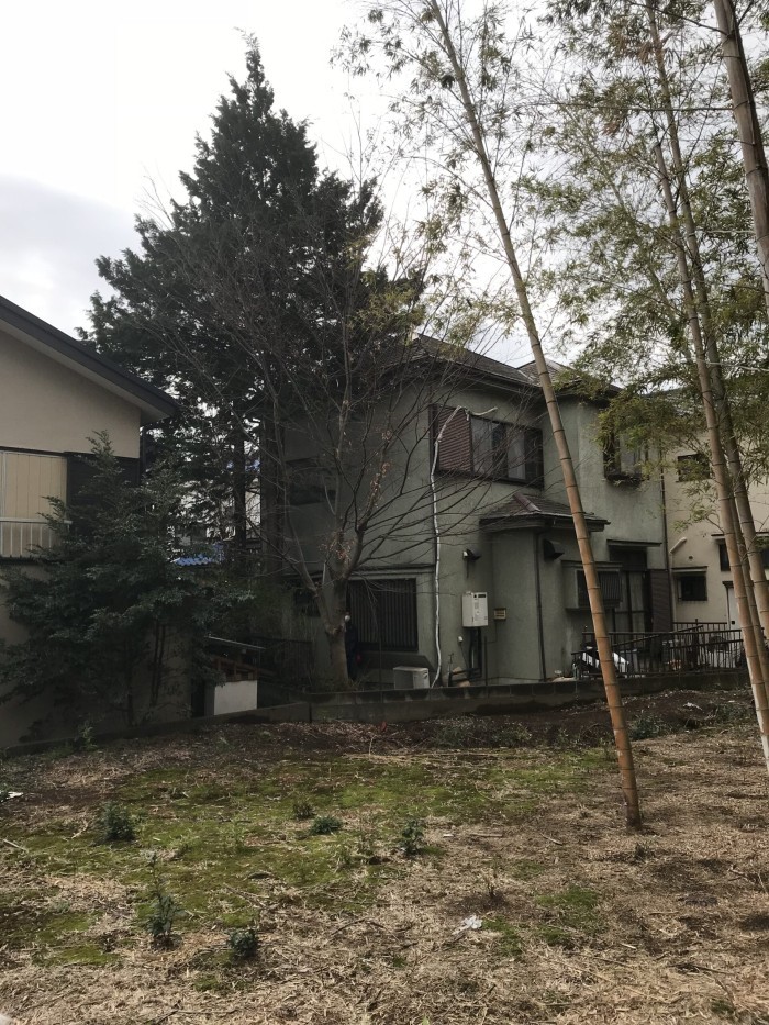 木津川市で特殊伐採・庭木伐採｜2階屋根を超えた高さ7～9mの樹木を撤去 - Before