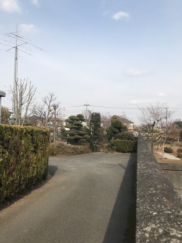 木津川市の伐採事例｜高さ8～10mの松・大きくなった木蓮など高木を整理｜特殊伐採 奈良・京都南部 - After